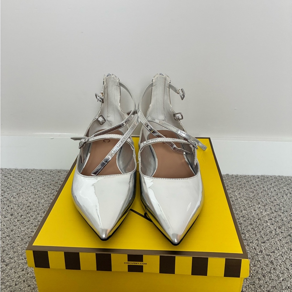 Shoes- Silver Flats